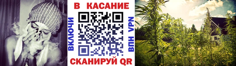 Виды наркоты Новосибирск Метамфетамин  omg рабочий сайт  Бошки Шишки  A PVP  Меф 