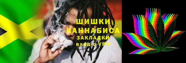 прущие грибы Горняк