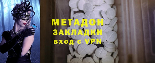 прущие грибы Горняк