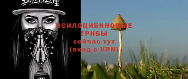 скорость Горнозаводск