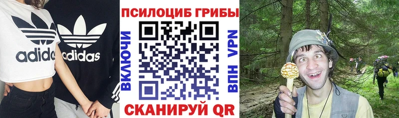 Галлюциногенные грибы ЛСД Новосибирск